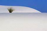 White Sands_32230
